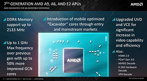 AMD Stoney Ridge Features